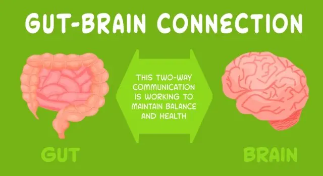 The Surprising Connection Between Oral Health, Gut Health, and Brain Function